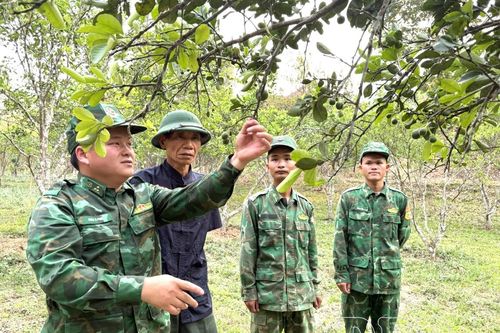 Gắn kết nghĩa tình, giữ vững phên giậu Tổ quốc