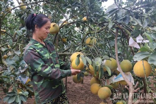 Khi người dân là chủ thể xây dựng nông thôn mới