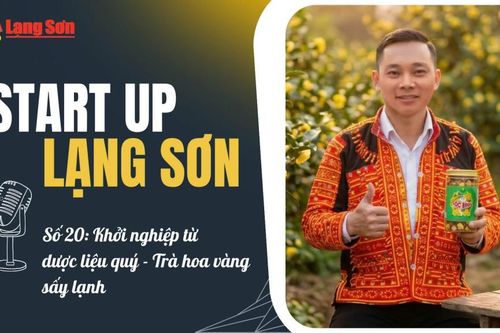 Podcast 'Start up Lạng Sơn' số 20: Khởi nghiệp từ dược liệu quý – Trà hoa vàng sấy lạnh