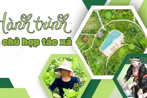 Hành trình làm chủ hợp tác xã