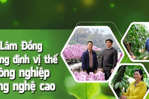 Lâm Đồng khẳng định vị thế nông nghiệp công nghệ cao
