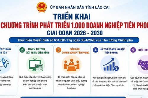 Lào Cai: Triển khai Chương trình phát triển 1.000 doanh nghiệp tiên phong giai đoạn 2026 - 2030
