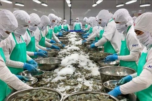 Triển lãm quốc tế khoa học công nghệ thủy sản Việt Nam