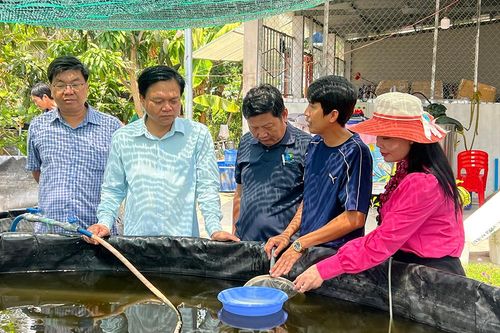 Thường xuyên kiểm tra, tăng sức đề kháng cho tôm nuôi mùa nắng nóng