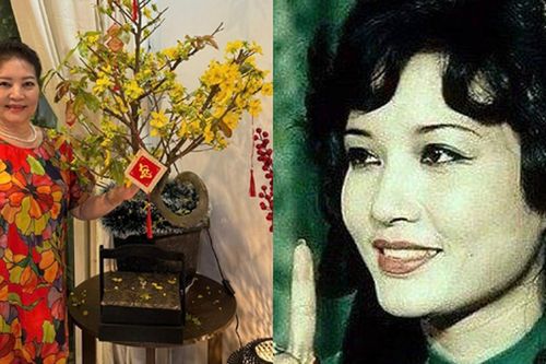 Nữ NSƯT đóng vai tình báo Z20 Ngọc Mai trong phim 'Biệt động Sài Gòn' giờ ra sao?