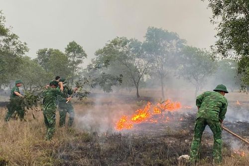 Cháy rừng nghi do bất cẩn trong canh tác, nhiều lực lượng được huy động dập lửa