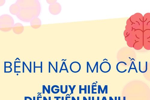 Não mô cầu: Diễn tiến nhanh, tử vong trong 24 giờ