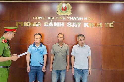 Khởi tố 3 đối tượng khai thác đất trái phép