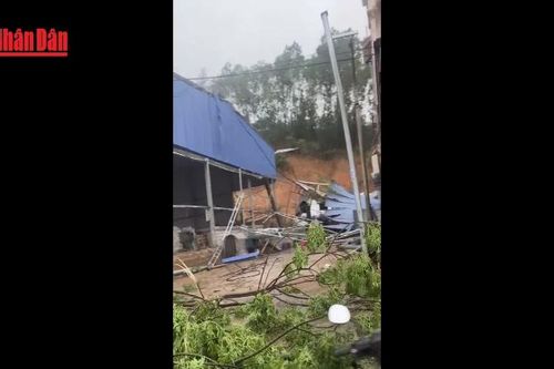 [Video] 5 người bị thương do dông lốc, mưa đá ở miền Bắc