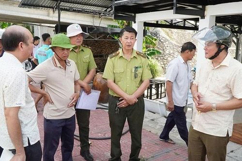 Thông tin cá sấu lớn nổi trên sông Tiểu Cần, tỉnh Vĩnh Long là không đúng, cần sớm được xử lý