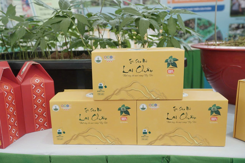 Sâm Lai Châu: Không bán củ, bán giá trị