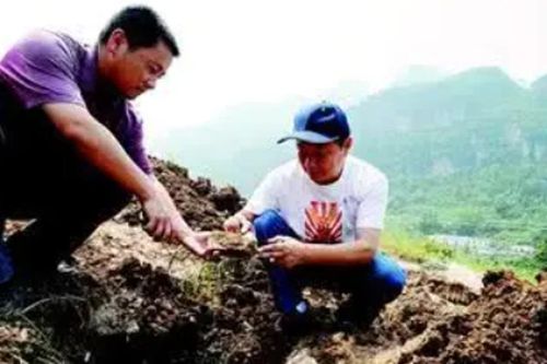 3.000 bộ xương bất ngờ được khai quật, câu chuyện xúc động phía sau