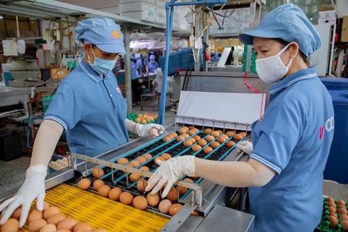 'Nghẹt thở' vay vốn ngân hàng