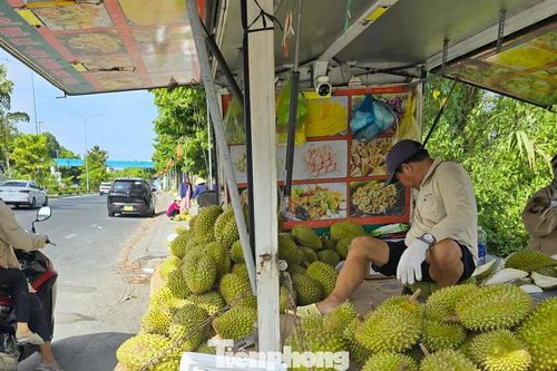 Sầu riêng 'rẻ như bèo' bán đầy vỉa hè