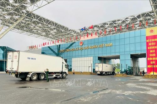 Kim ngạch xuất nhập khẩu qua Cửa khẩu quốc tế Móng Cái đạt hơn 6,2 tỷ USD