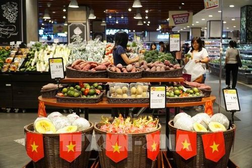 Hộ chiếu đưa hàng Việt bước ra toàn cầu