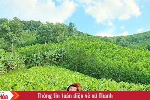 Luồng gió mới trong khởi nghiệp ở vùng cao