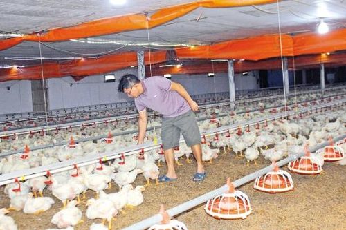 Hợp tác ứng dụng quy trình sản xuất sạch