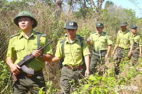 Đồng Nai: Tăng cường, bố trí lực lượng canh giữ rừng xuyên lễ