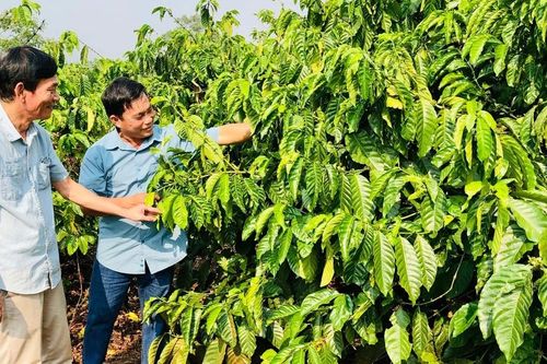 Ia Hrung phát huy truyền thống, xây dựng quê hương giàu đẹp, văn minh