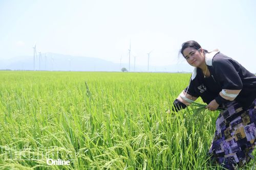 Những phụ nữ người Chăm làm kinh tế giỏi