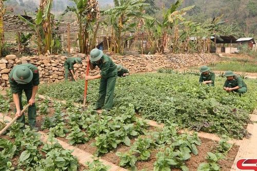 Tăng gia sản xuất nâng cao đời sống bộ đội