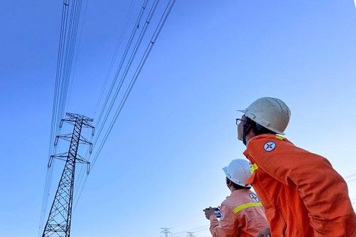 Truyền tải điện 3: Túc trực xuyên đêm xử lý kịp thời diều vướng đường dây 220kV