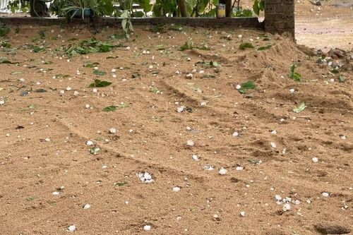 Nghệ An: Giông lốc kèm mưa đá xẩy ra tại nhiều địa phương
