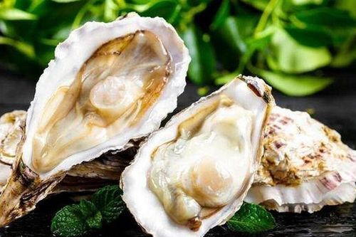 Loại hải sản này vừa béo vừa ngon, giàu protein và dinh dưỡng, 2 cách chế biến tại gia ăn hoài không chán!