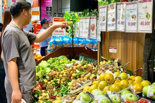 Vải u đầu mùa giá cả trăm nghìn đồng/kg nhưng vẫn 'được lòng' người tiêu dùng