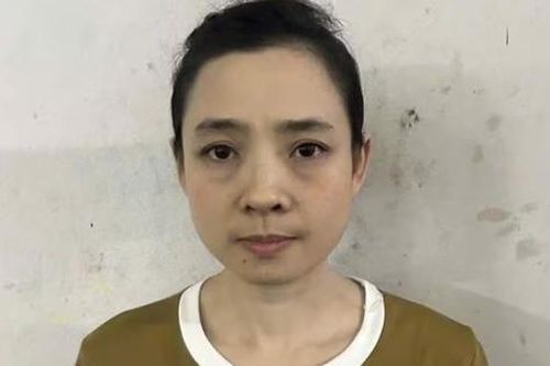Bắt giữ, dẫn độ người phụ nữ trốn truy nã ở nước ngoài về nước