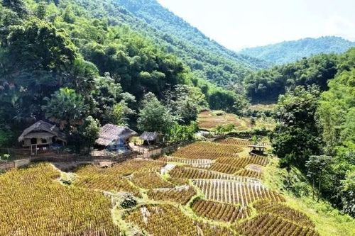 'Đánh thức' Pù Hu thành điểm đến xanh của xứ Thanh