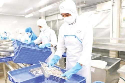 Doanh nghiệp thủy sản chủ động tái cấu trúc