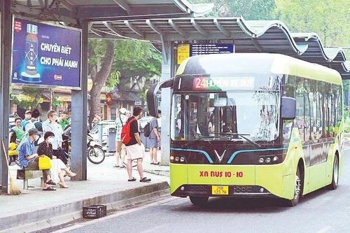 Đẩy nhanh lộ trình 'xanh hóa' xe buýt