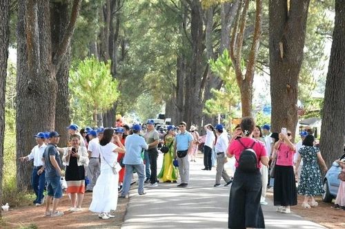 Gia Lai đón 945.000 lượt khách, tổng thu du lịch ước đạt khoảng 1.600 tỷ đồng