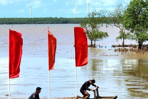 Trượt 'mong' mưu sinh nơi bãi bồi thành nét văn hóa đặc sắc vùng biển Trần Đề