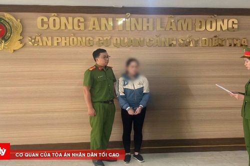 Làm giả sổ đỏ để chiếm đoạt hơn 500 triệu đồng