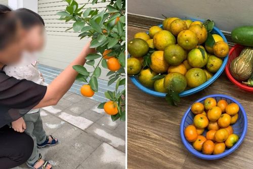 Nàng dâu 3 năm không về quê nghỉ lễ, hổ thẹn trước hành động của bố mẹ chồng U80
