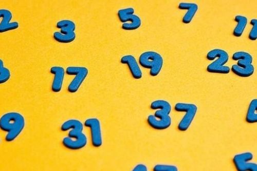 Số nguyên tố là gì? Bảng số nguyên tố và ví dụ minh họa