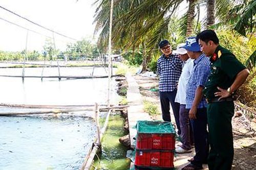 Cần Thơ đẩy mạnh nuôi trồng thủy sản theo hướng bền vững