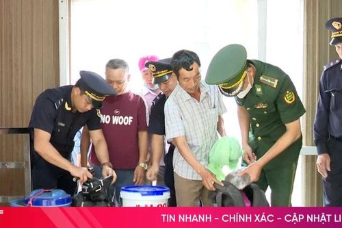 Xuất nhập cảnh qua Cửa khẩu quốc tế Cầu Treo tăng mạnh