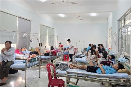 Xử phạt, đình chỉ hoạt động cơ sở bánh mì vi phạm về an toàn thực phẩm
