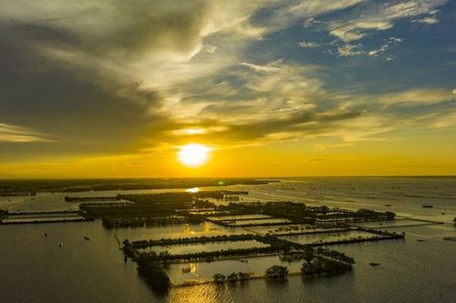 Tái định vị đầm phá Tam Giang – Cầu Hai: Từ 'kho báu sinh thái' đến động lực phát triển bền vững