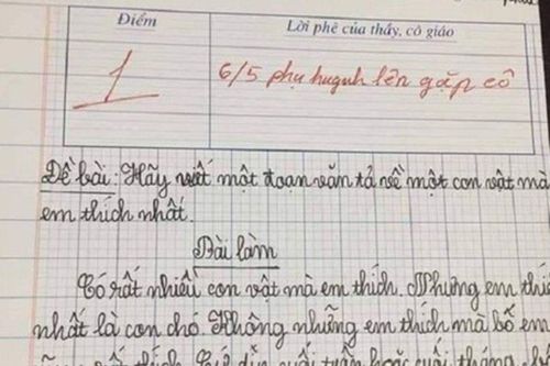 Bài văn 'em thích nhất con chó' nhưng đoạn cuối ai đọc cũng thấy sai sai
