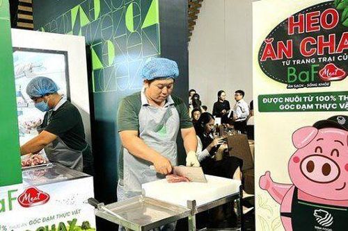 BAF báo lãi quý I tăng 54% nhờ giá heo phục hồi