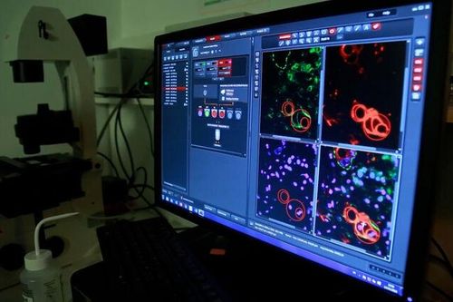 Pháp đẩy mạnh triển khai chiến dịch 'Tháng Năm màu xám'