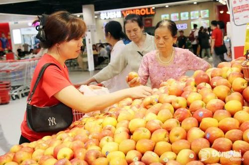 Thời cơ để thương mại - dịch vụ tăng tốc