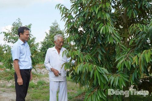 Xã Thanh Mỹ: Hào khí xưa, khát vọng mới