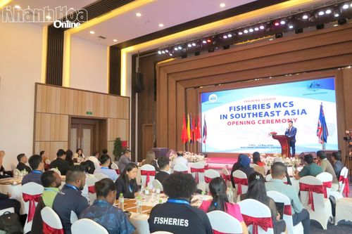 Tập huấn 'Theo dõi, kiểm soát và giám sát nghề cá' đợt 1, khóa 4