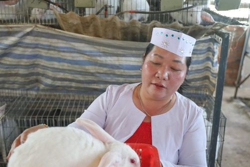 Từ vốn hỗ trợ đến mô hình Nuôi thỏ hiệu quả của phụ nữ Mường